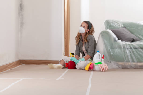 Reliable Mold Testing contractor in Chanhassen, MN by WQB Mold Removal
